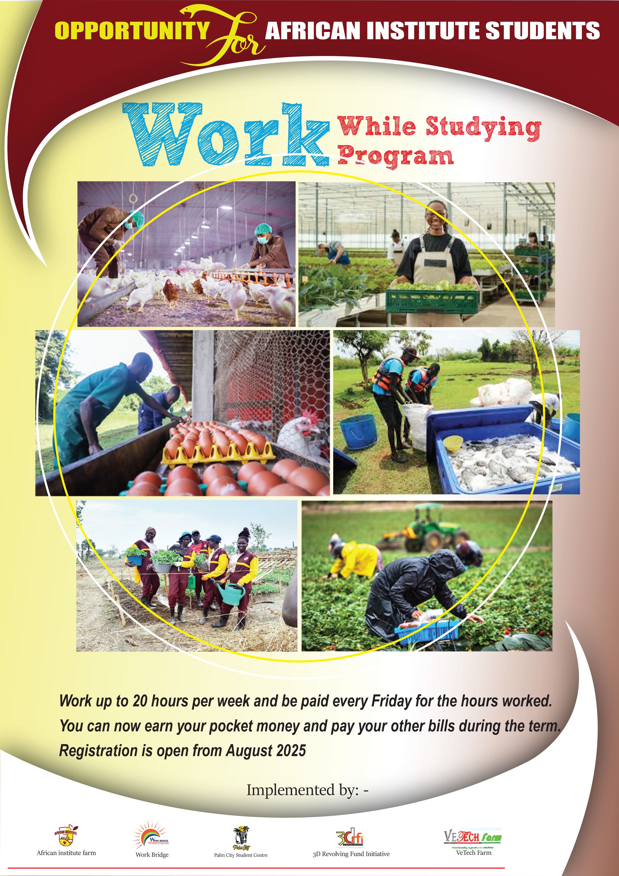 Work While Studying in African Institute